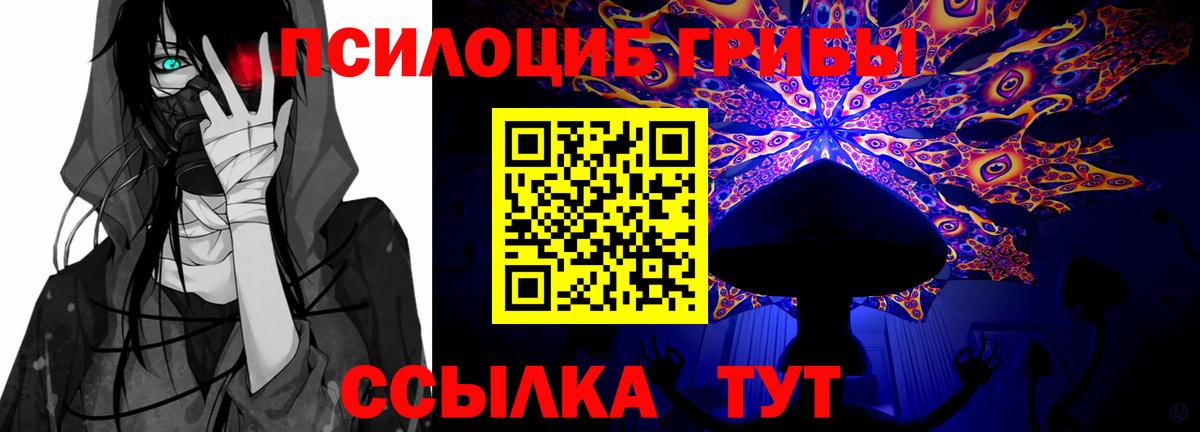 Галлюциногенные грибы Psilocybe Старая Купавна